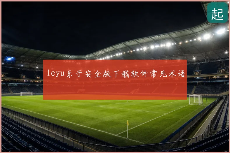 leyu乐于安全版下载软件常见术语