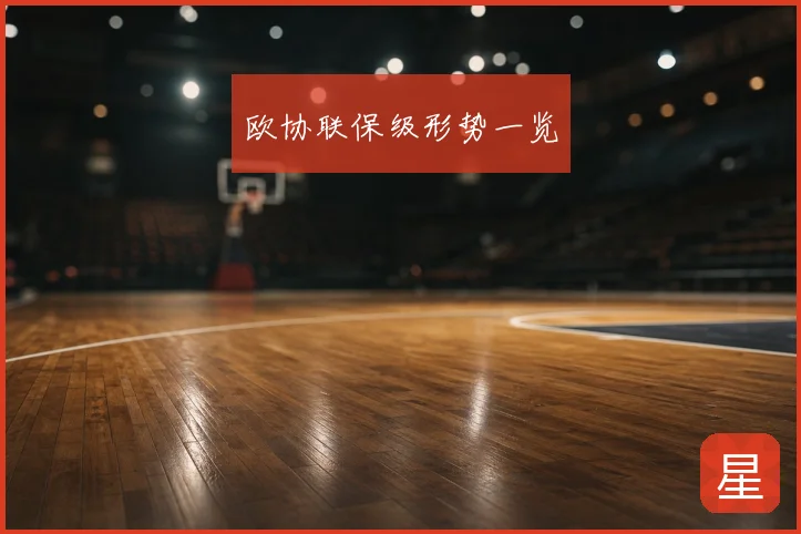 欧协联保级形势一览